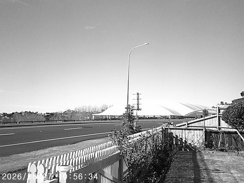 Black & White